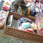 20120226-DSC_3889.jpg