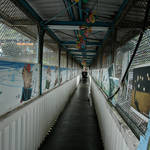 20120226-DSC_3858.jpg