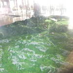 DSCF3603.jpg
