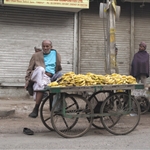 Delhi - India, Winter 10/11