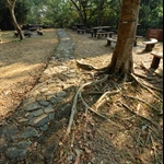 DSC_3513.jpg