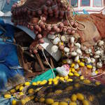 nets and floats