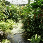 DSC00266.JPG