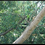 DSC01014.jpg