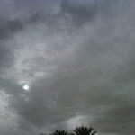 IMG00174-20110418-1627.jpg
