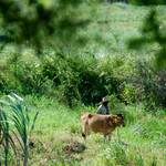 DSC_0072.JPG