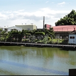 DSC01672.JPG