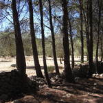 RIMG0006.JPG