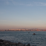 IMG_7515.jpg