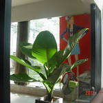 DSC07457.JPG