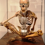 DSC00442.JPG