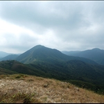 從山徑回望大蚊山