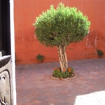 DSCN0260.JPG