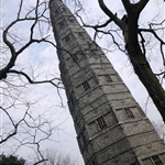 P1000801.jpg