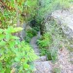P1010206.JPG