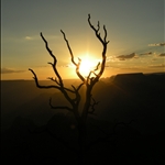 Grand Canyon (Aug. 2008)