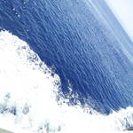 20120525_135657.jpg