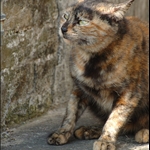 DSC_1738.jpg