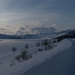 Road 50