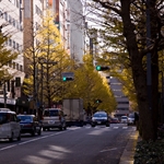 20091225-IMG_8858.jpg