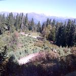 IMG-20111002-00293.jpg