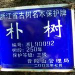 100_1675.jpg