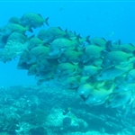 n581861735_1258557_7423[1].jpg