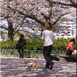 A guy with a fancy pink dog!