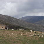 RIMG0008.JPG