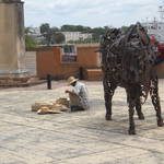 DSCN1903.jpg