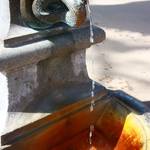 IMG_6185.JPG