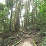加里山 (16).JPG