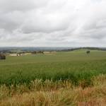 Farm_Walpole07.JPG