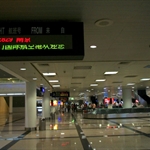 IMGP9361.JPG