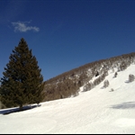 pian delle betulle - alpe di paglio 023.jpg