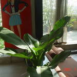 DSC07459.JPG
