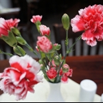 DSC00123.JPG