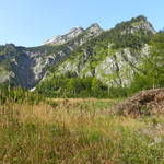 DSCN1773.JPG