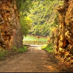 Viet Hai, Cat Ba Island