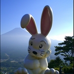 Thinking rabbit