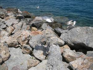 argentario con Aleksandra (21).jpg