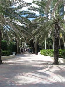 Miami Beach