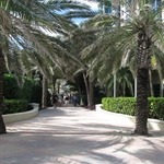 Miami Beach