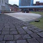 R0017494.jpg