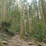 加里山 (42).JPG