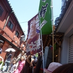 P1000550.jpg