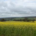 Farm_Walpole13.JPG
