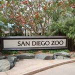 San Diego Zoo 2011