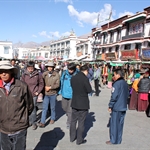 IMG_5798.JPG