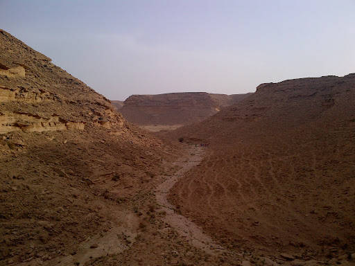 IMG-20120511-00465.jpg